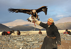Discover Mongolia and Lake Baikal