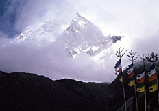 Hues of the Himalayas: Rhodo Colours in Sikkim