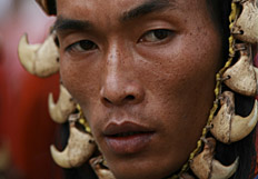 North East Exotica & Hornbill Festival