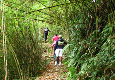 TREKS