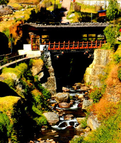 Magical Bhutan Road Safari