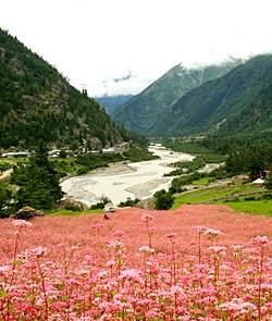 Sangla