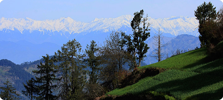 Himalayan Golden triangle