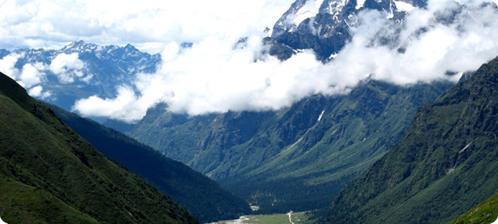 Hues of the Himalayas: Rhodo Colours in Sikkim