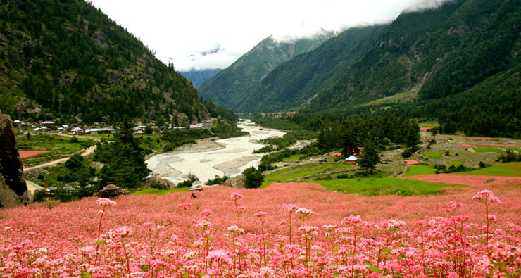 RAKCHAM VILLAGE – SANGLA VALLEY