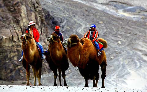 Essence of Ladakh