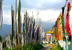 Essential Sikkim