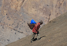 Walking Trails of Little Tibet