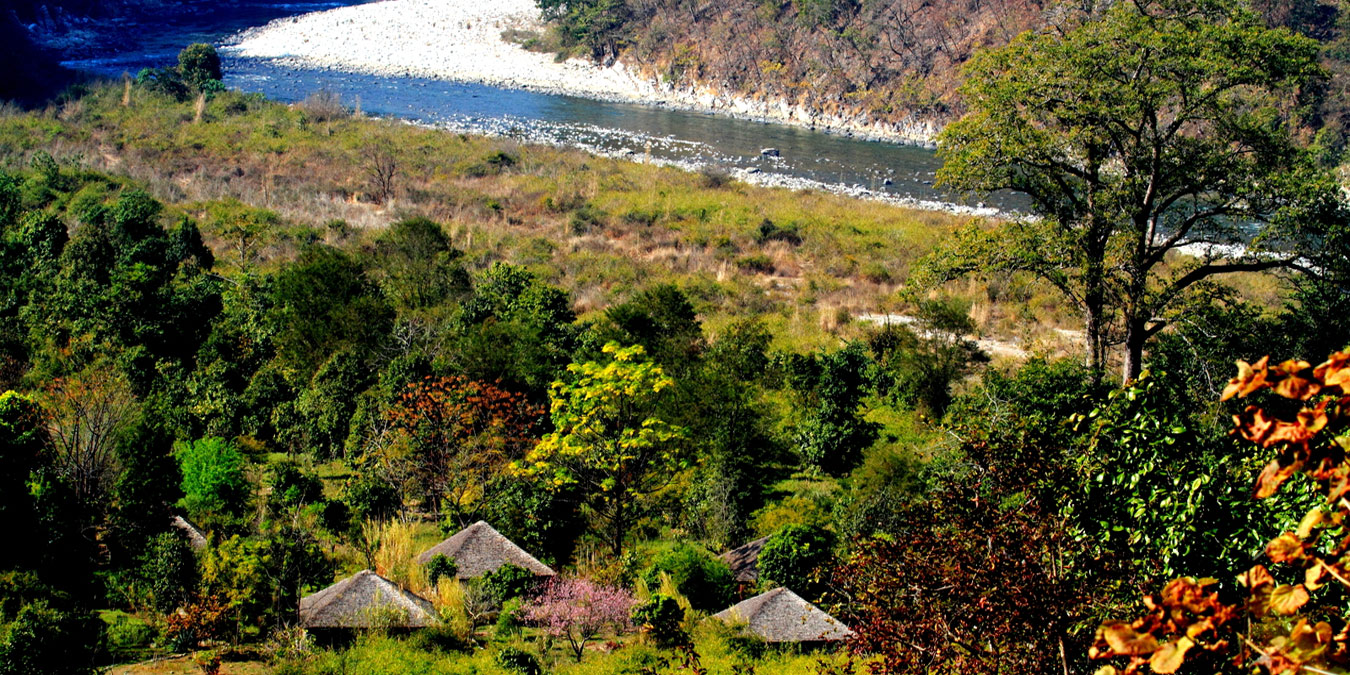  Set deep in the jungle by the river