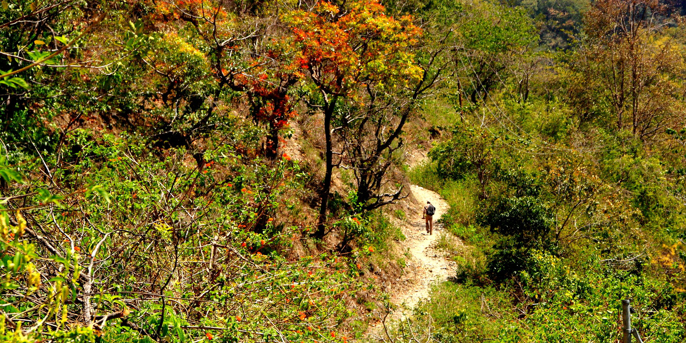 2 km forest hike to the lodge