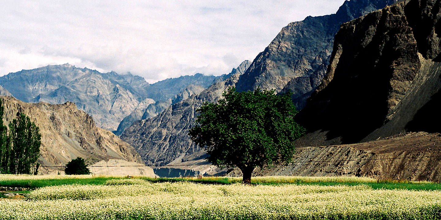 Essence of Ladakh