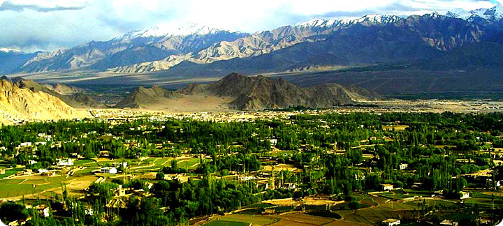Incognito Ladakh