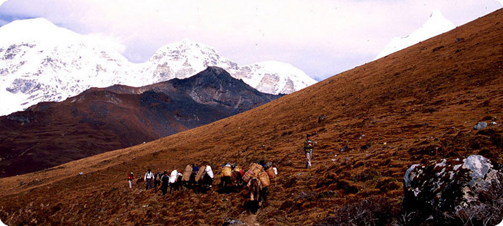 Jumolhari Yaksa Trek