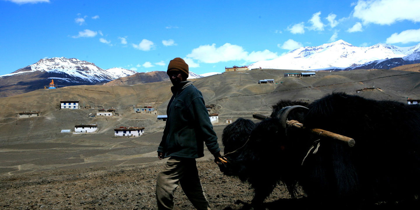 Ploughing the fields of Langza