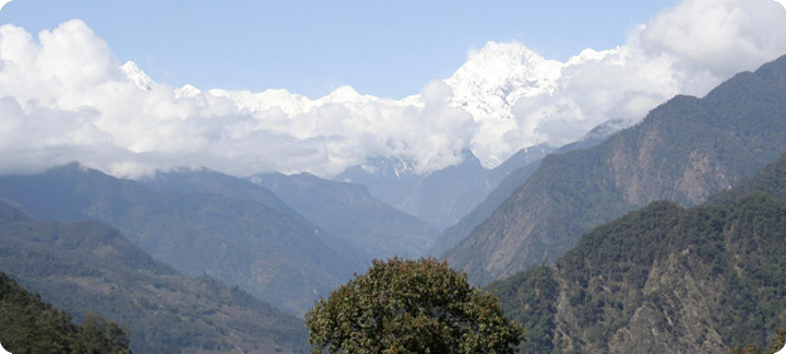 North East Exotica & Hornbill Festival