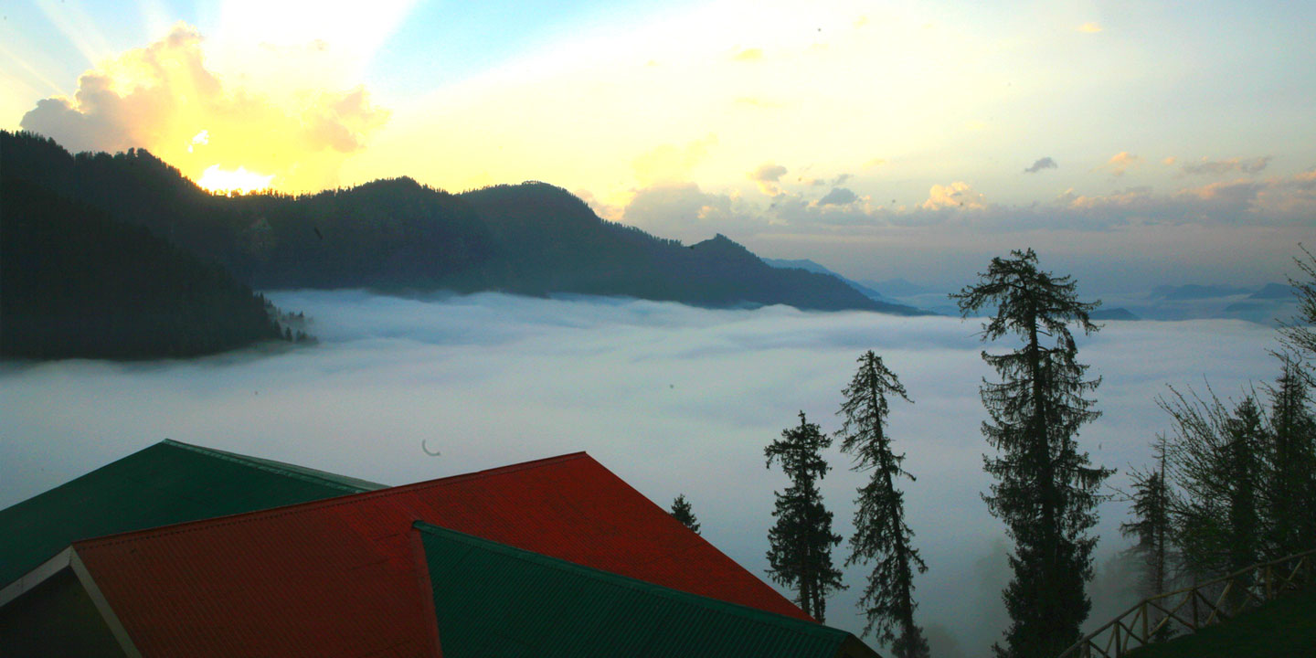 Misty morning at the retreat & cottage