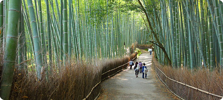 A trip to Japan