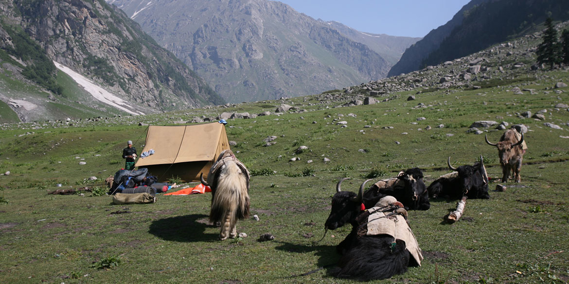 Sangla – Kafnu (2200M/ 7216Ft) – Mulling (3280M/ 10759Ft) – Drive- 66km / 3 hr and trek – 15 kms/ 5 hrs