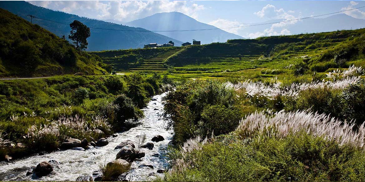 PUNAKHA – hike the Giligang Trail (5 hrs totally)