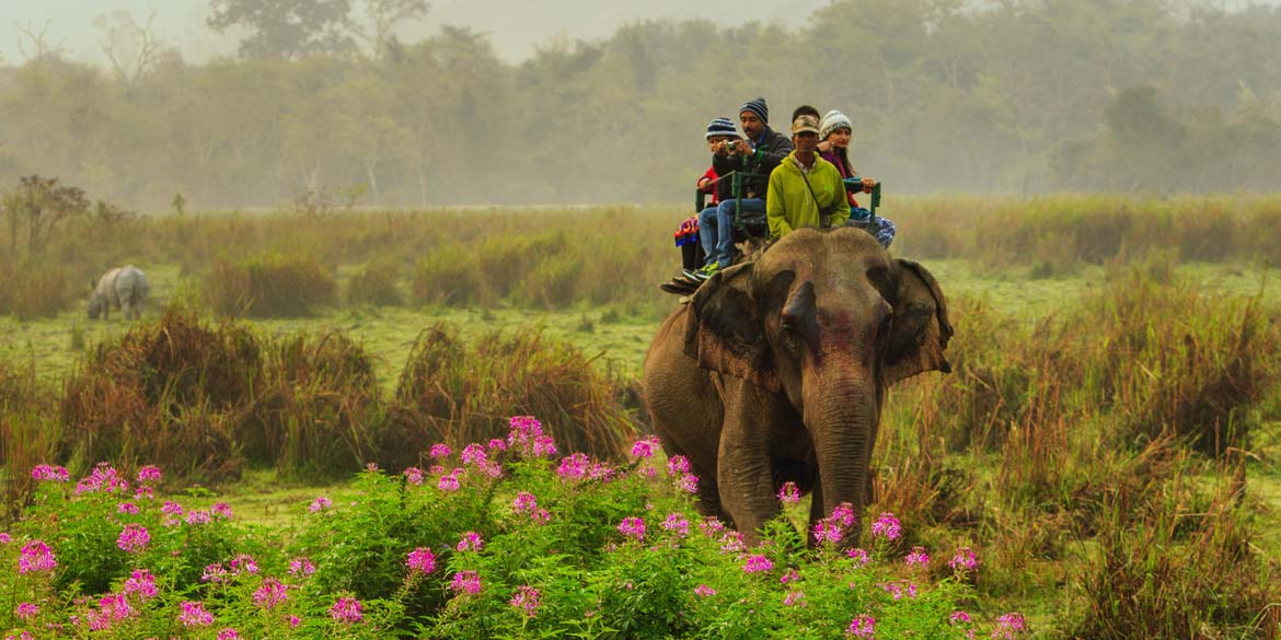 Explore KAZIRANGA