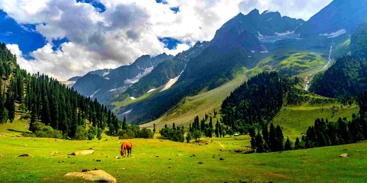 <strong>KARGIL – SONAMARG</strong> (2800 M / 9200 ft) 130 km / 4 - 5 hrs