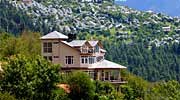 Apple Orchard draped hills of Thanedar around the Banjara Orchard Retreat