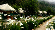 Banjara Camps & Retreats