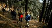 Banjara Camps & Retreats