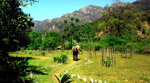 VANGHAT - CORBETT NATIONAL PARK