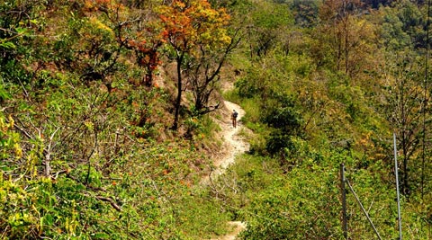 VANGHAT - CORBETT NATIONAL PARK