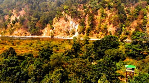 VANGHAT - CORBETT NATIONAL PARK