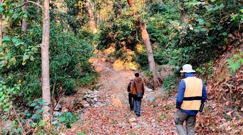 VANGHAT - CORBETT NATIONAL PARK