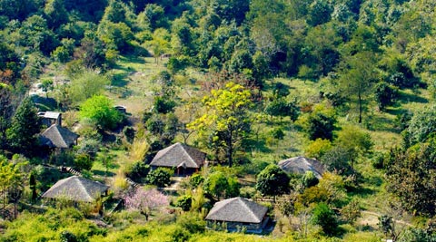 VANGHAT - CORBETT NATIONAL PARK