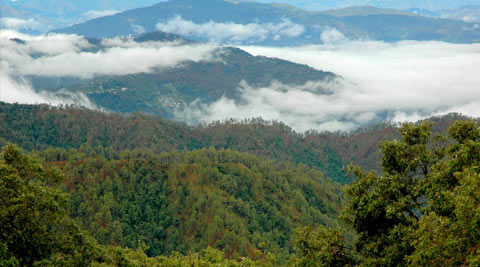 BINSAR WILDLIFE SANCTUARY